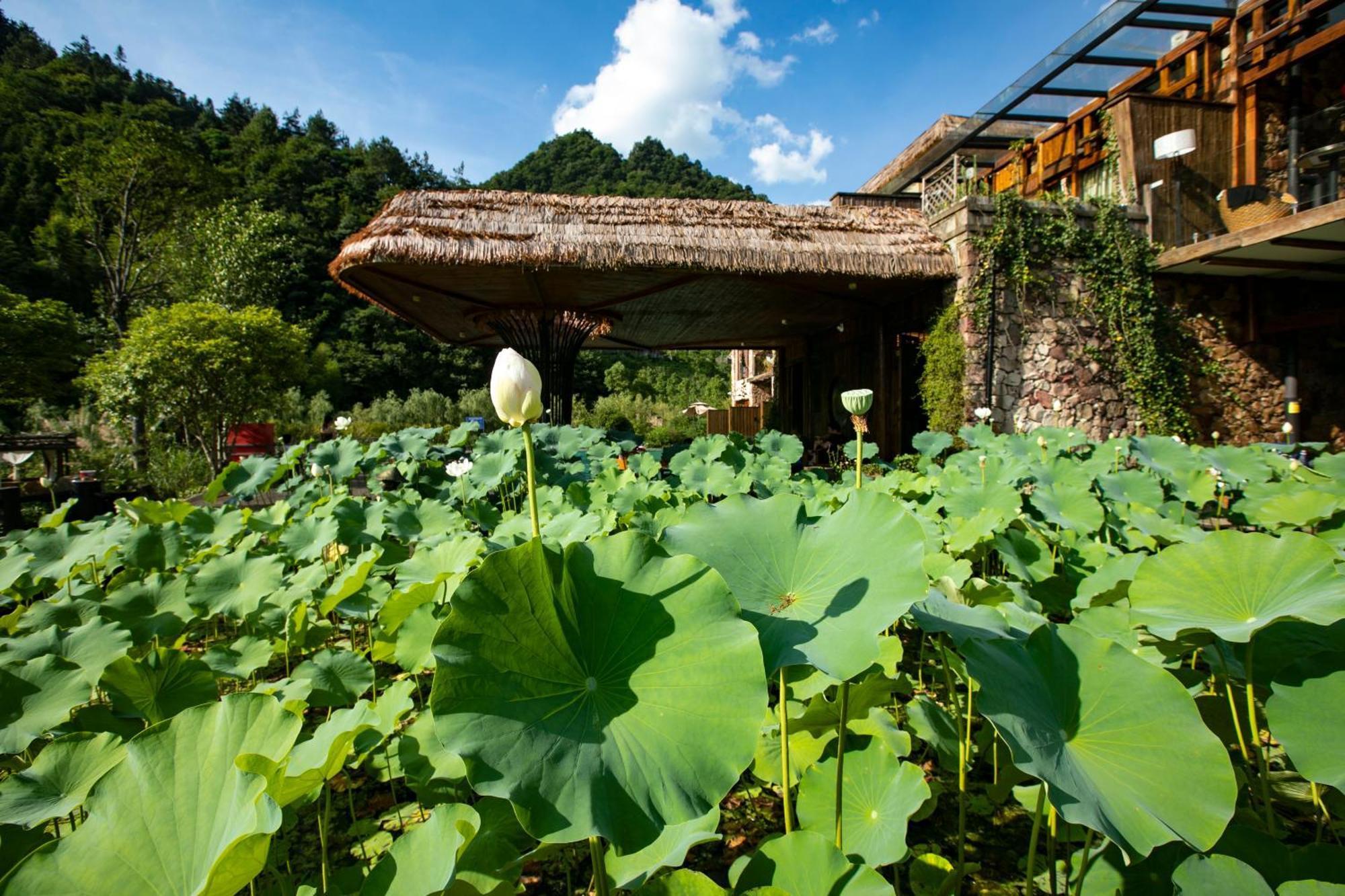 Homeward Mountain Resort Zhangjiajie Dış mekan fotoğraf